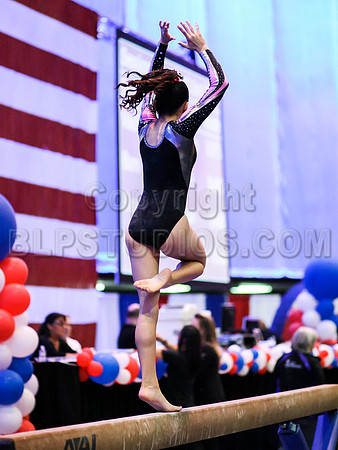 HSM_1043