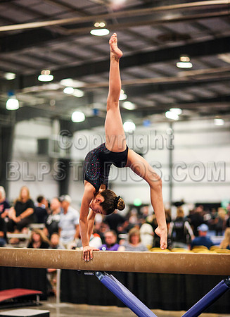 HSM_1272