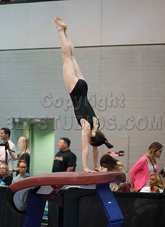 HSM_5519