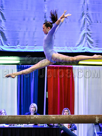 HSM_2046