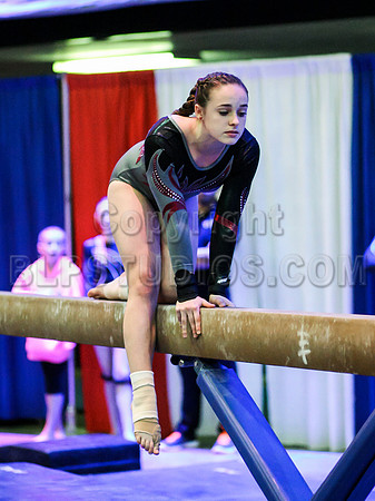 HSM_1550