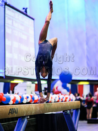 HSM_2474