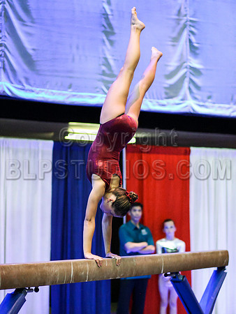 HSM_0367