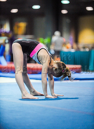 BEC_0186
