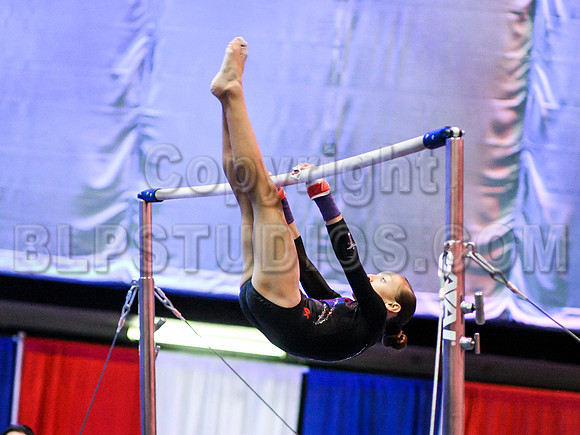 HSM_0590
