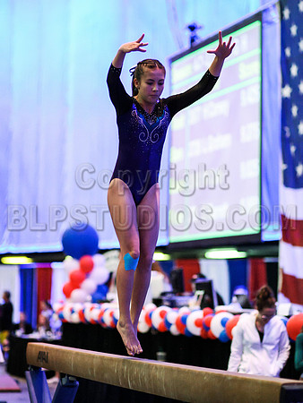 HSM_0239