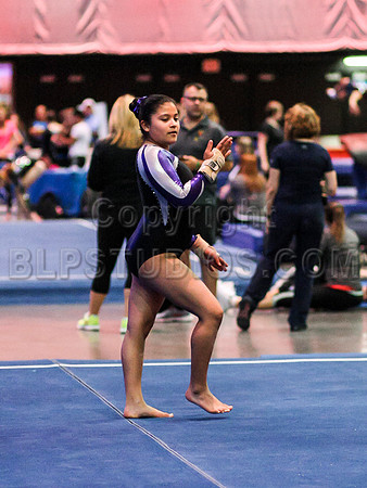 HSM_0955