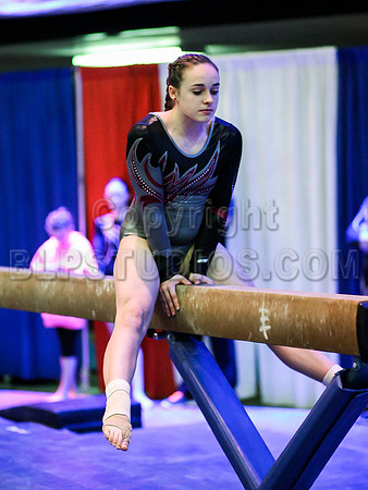 HSM_1533