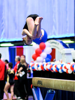 HSM_0203