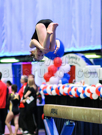 HSM_0203