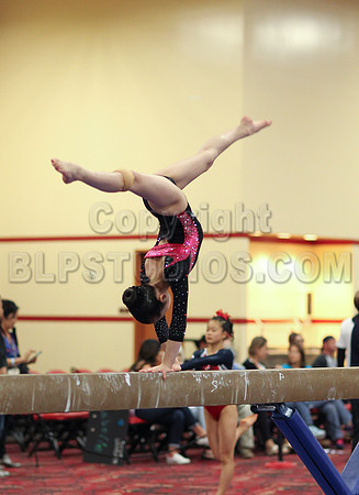 HSM_3626
