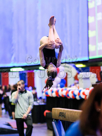 HSM_0077
