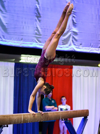 HSM_0369