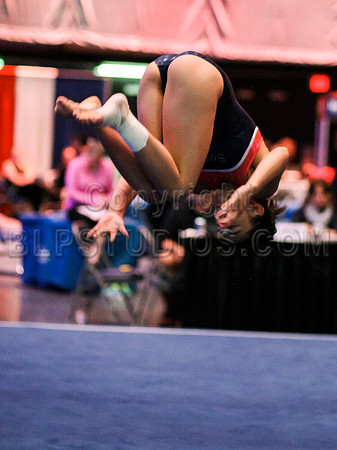 HSM_3198