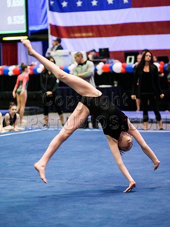 HSM_0554
