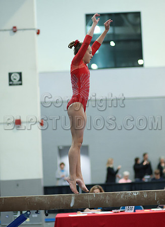 HSM_4619