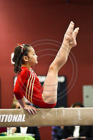 TAZ17676