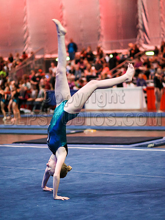 HSM_0987