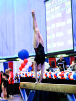 HSM_0201
