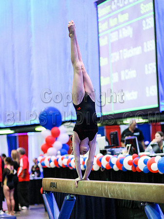 HSM_0201