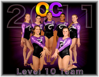 Level 10 Team
