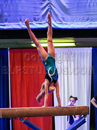 HSM_4421