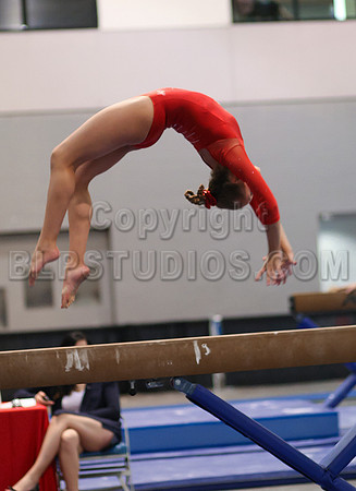 HSM_4633