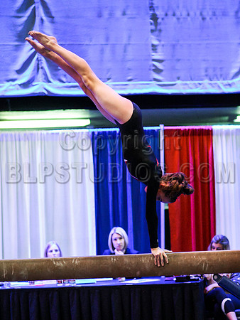 HSM_0879