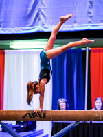 HSM_4403