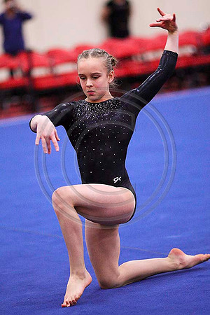 TAZ20089