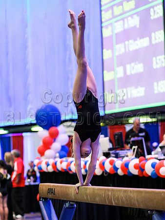 HSM_0202