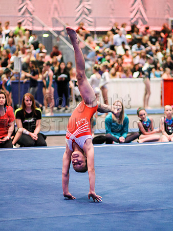 HSM_2197