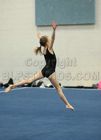 HSM_6019