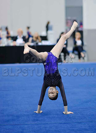 RJX_0113