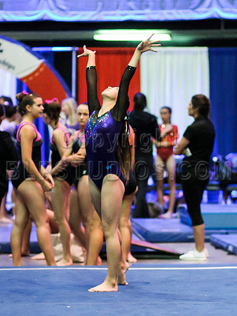 HSM_0631