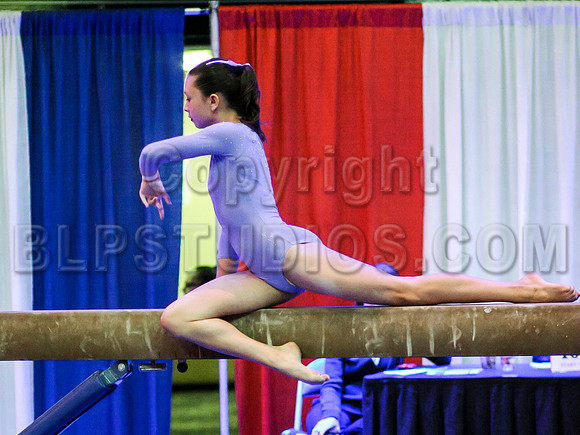 HSM_2012