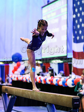HSM_0244
