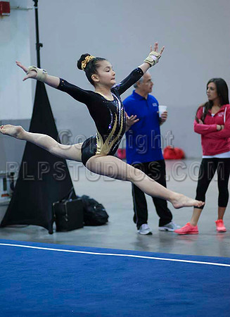 HSM_4183