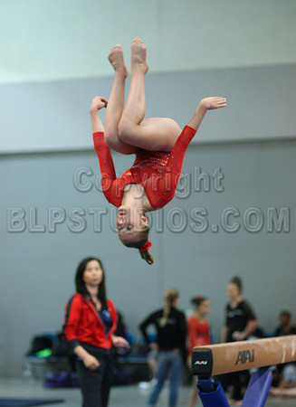 HSM_4385