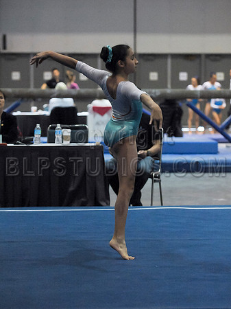 BEC_0223