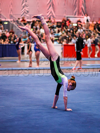 HSM_2372