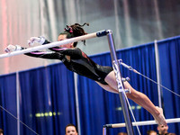 HSM_0379