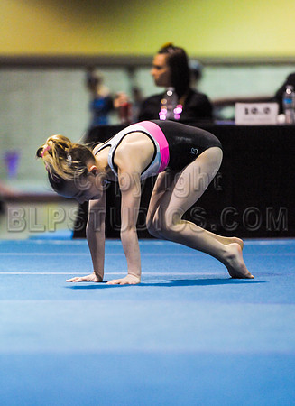 BEC_0163