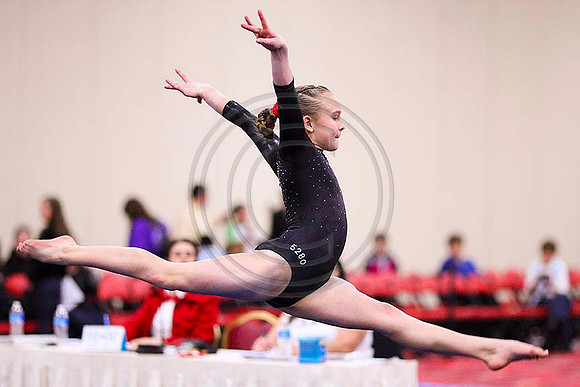 TAZ20109