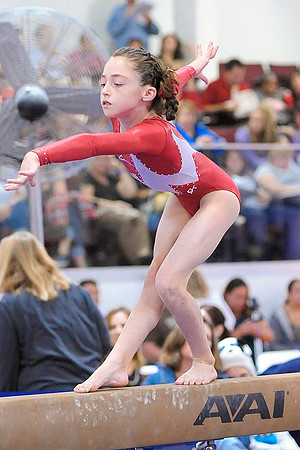 _RFJ9911