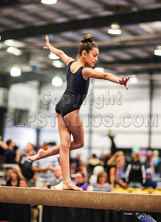 HSM_1260