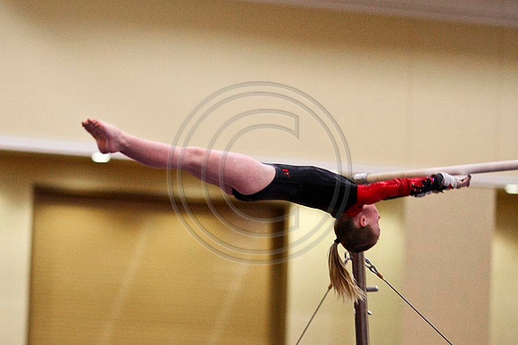 TAZ20081