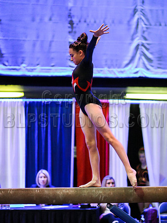 HSM_0892