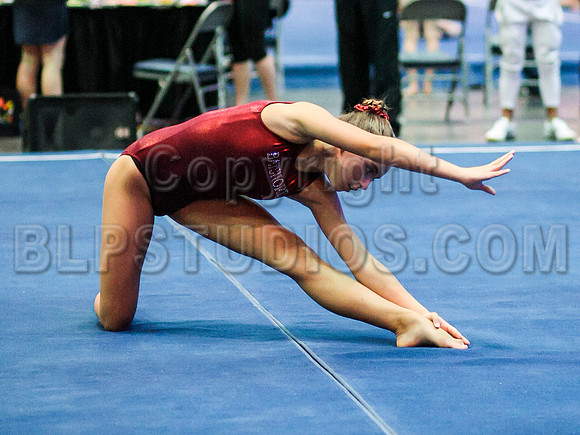 HSM_0971