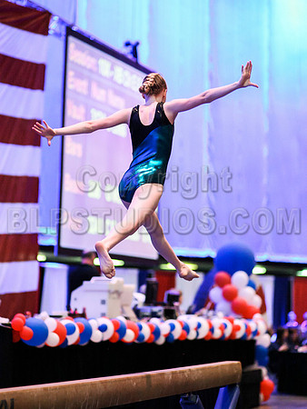 HSM_0595